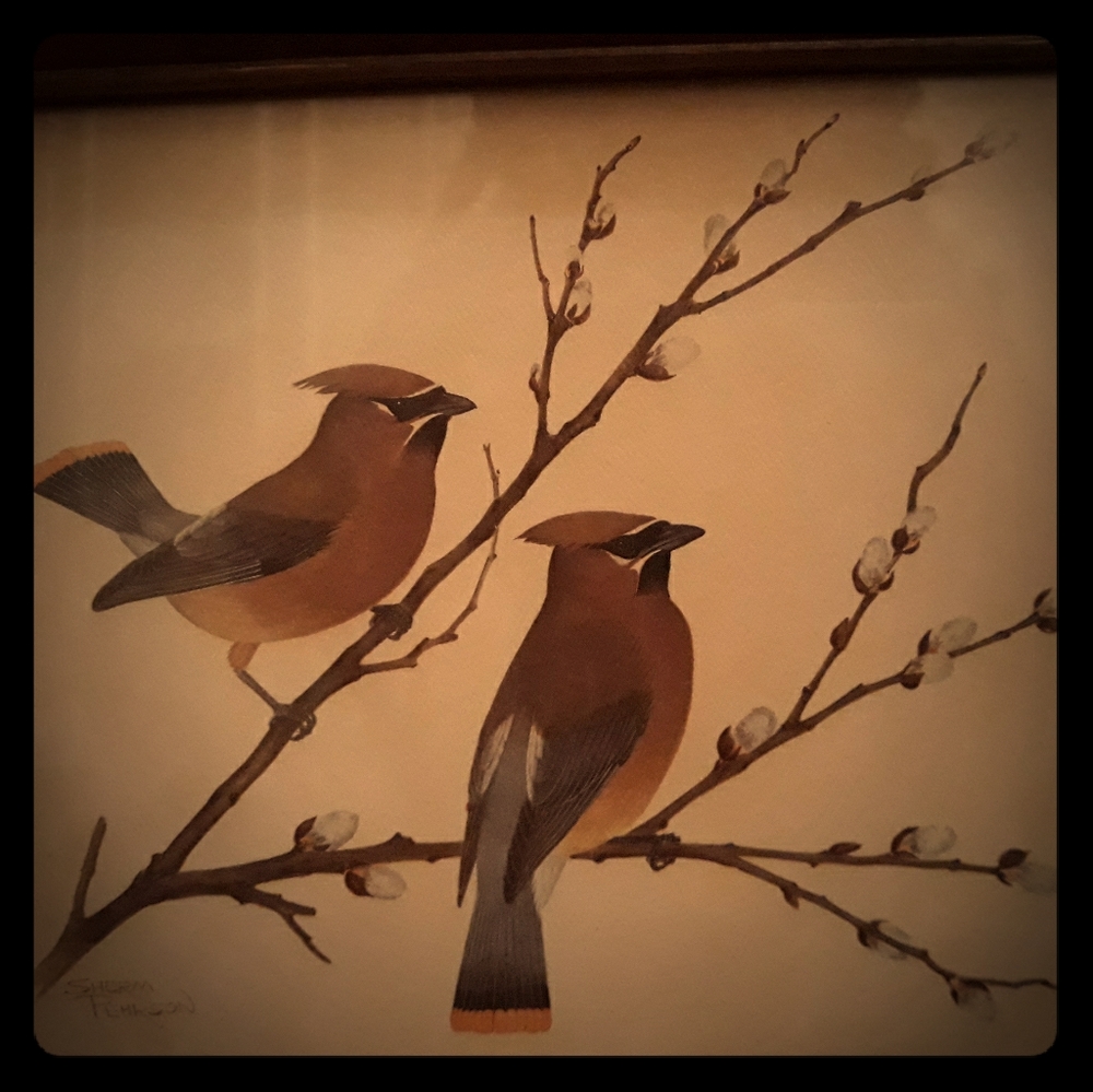 Vintage 1978 Song Birds Collection